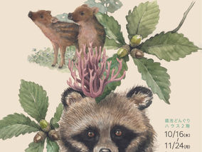 エヴァーソン朋子イラスト展「森の生きものたち」2025　開催中