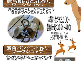 🌸春のワークショップのご案内🌸