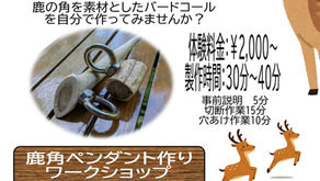 🌸春のワークショップのご案内🌸