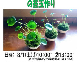 <夏休みワークショップ>ウオーターマッシュルームの苔玉作り