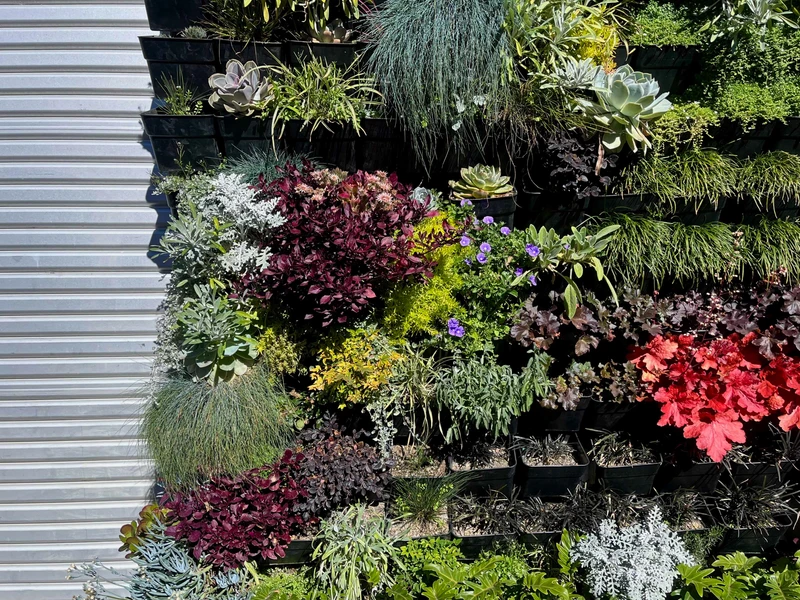 Green Wall Garden