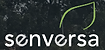 Screen Shot 2023-02-14 at 11.11.07 am.png