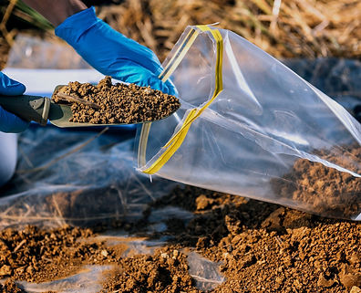 soil conditioner_edited_edited.jpg