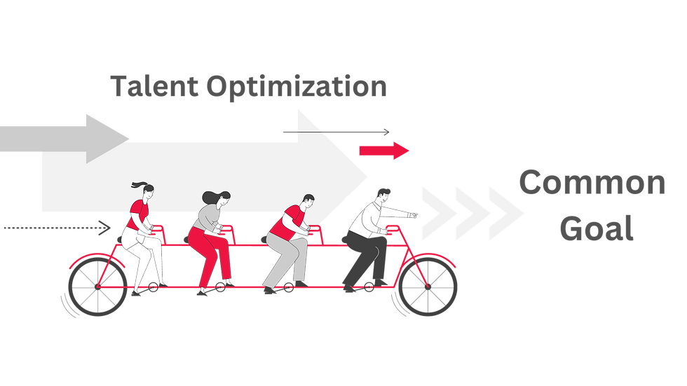 Talent Optimization