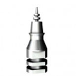 Custom Filted Analog for Abutment Immediate Loading