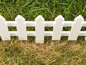 The Grass is Greener on the Other Side Of Diet Culture