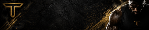 header titan.png