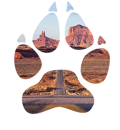Transparent Logo White.png