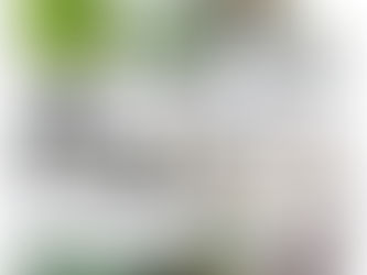 Linhas de Fornecimento Latam Fastener Solutions