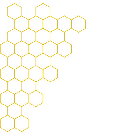 Bee hexagon