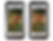 ree