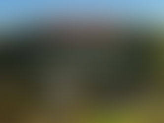 18/02: Torneo Abierto 20 Aniversario