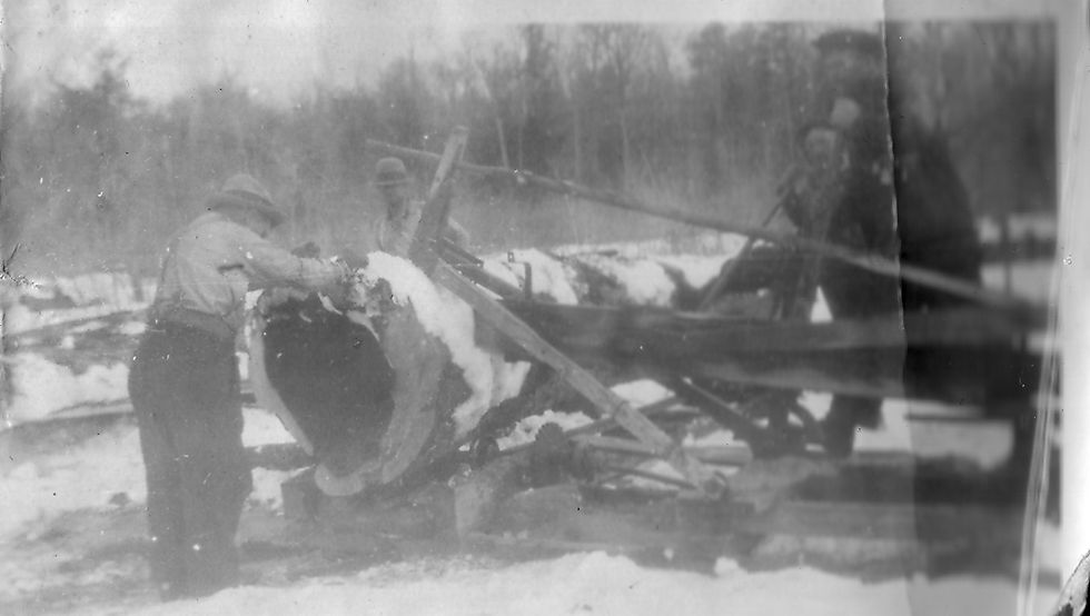 Logging
