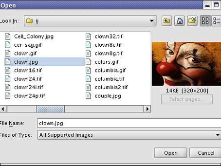 J Plugins Toolkit For ImageJ 1.6.1 2022 [New]