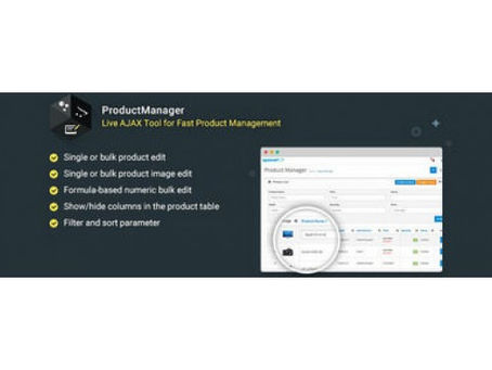 Fast Manager Crack For PC