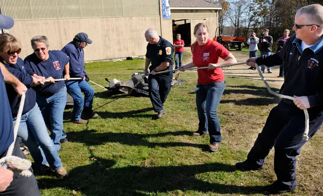 equine emergency.webp
