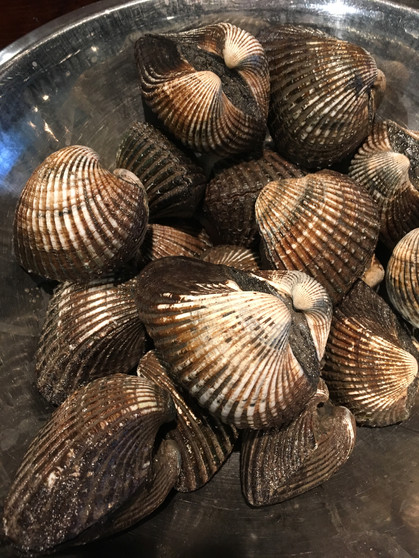 “Akagai” Red clam