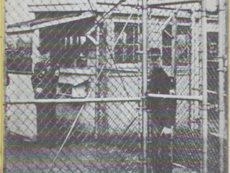 Dispatch #7: The Carceral University, ICE, and Resistance