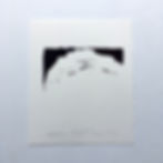 Thumbnail: lino print - Vogelplas