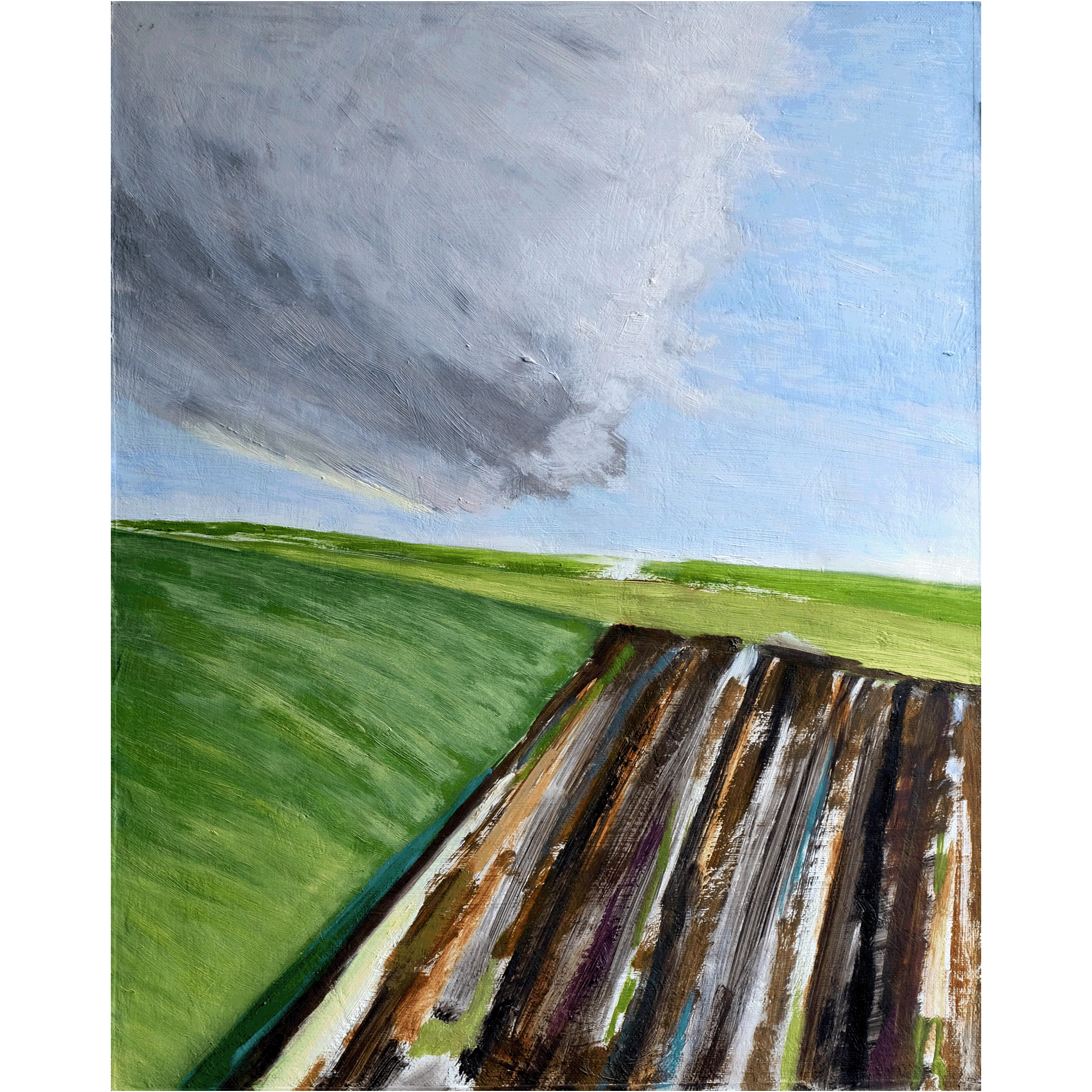 2011.04 51x40cm Haringvliet .gif
