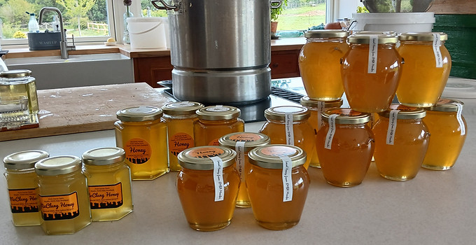 honey jars 1