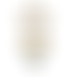 Lions' Way to Champions League Final