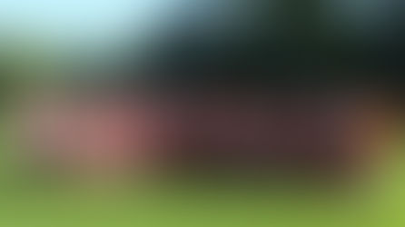 Lions top off the season in Amsterdam.