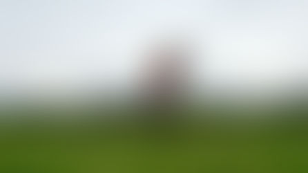 A sleeping giant will wake up soon