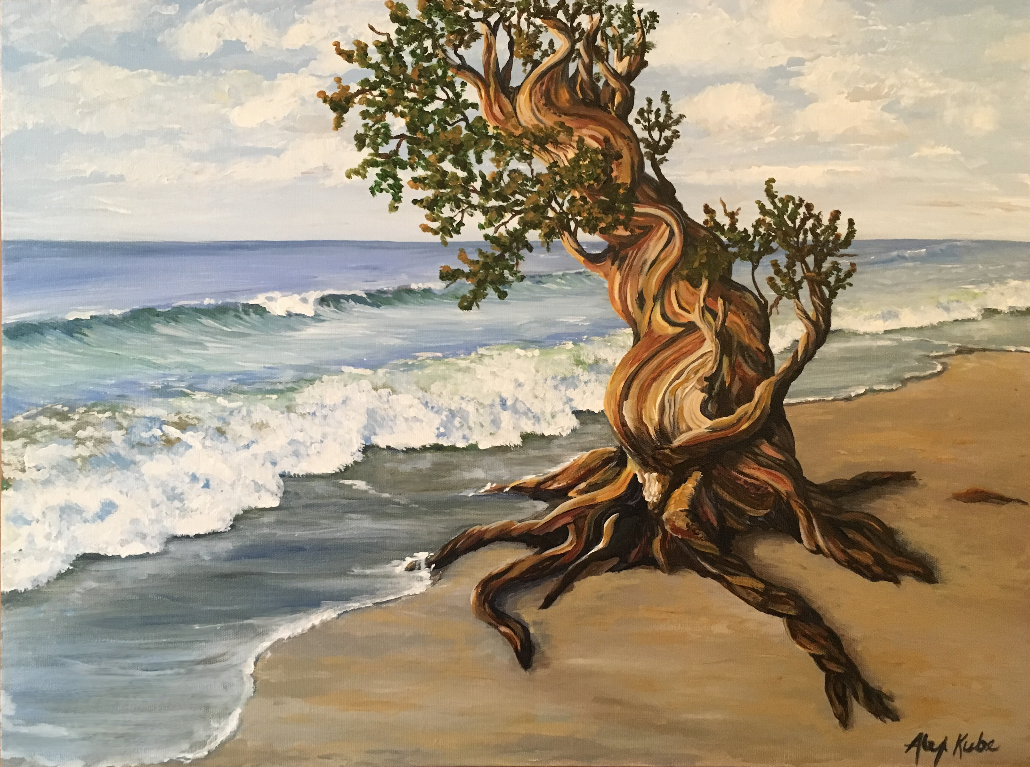 beach tree