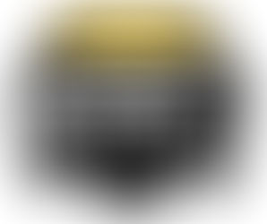 2024 Brampton Honey Badgers Team Preview