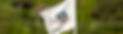 Junior-Open-Header-1.jpg