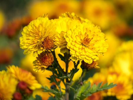 Daily Scripture Reflection & Prayer: October 29, 2024