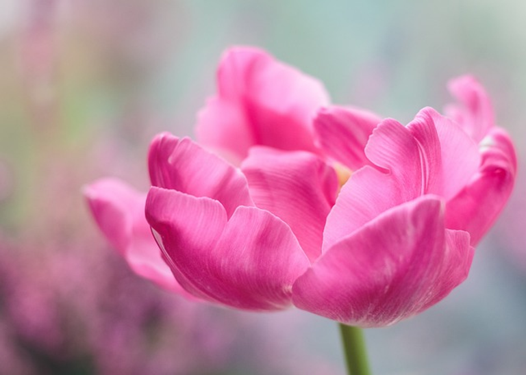 Daily Scripture Reflection Prayer June 4 2024 Daily scripture reflection prayer june 4 2024