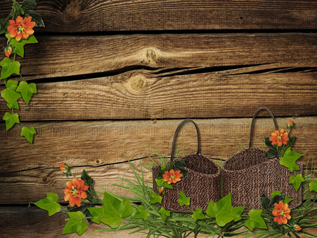 Happy Thanksgiving (11/27/2025)