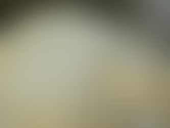 Daily Scripture Reflection & Prayer: July 28, 2025