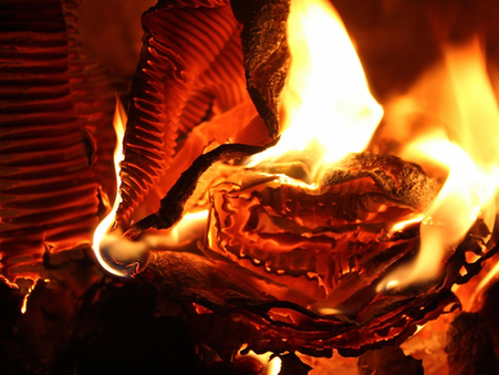 Daily Scripture Reflection & Prayer: March 25,2026