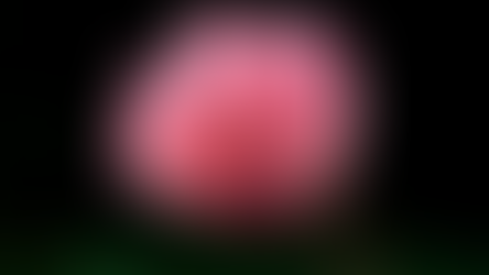 Daily Scripture Reflection & Prayer: March 26,2026