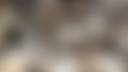 The Rock Patrol (04/07/2026)