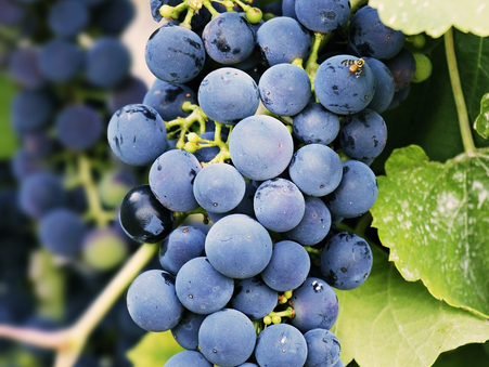 Daily Scripture Reflection & Prayer:  August 20, 2025