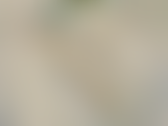 Daily Scripture Reflection & Prayer: May 23, 2025