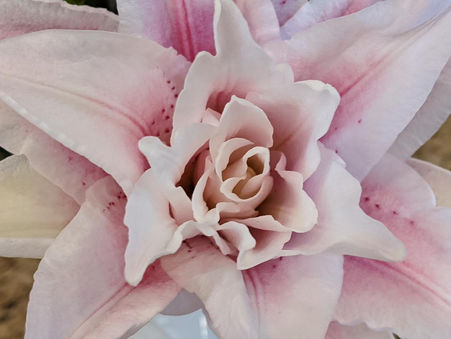 “Blessed are they who hunger and thirst for righteousness” (11/5/2021)