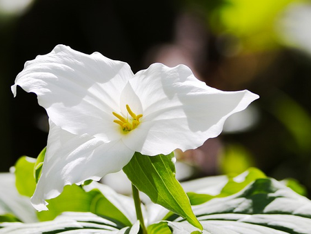 Daily Scripture Reflection & Prayer: October 26, 2024