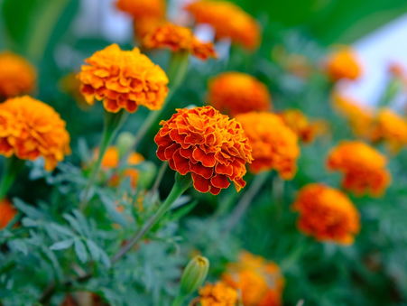 Daily Scripture Reflection & Prayer: June 28, 2025