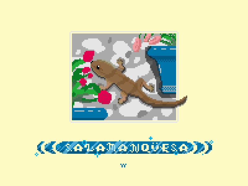 Gecko (Salamanquesa)
