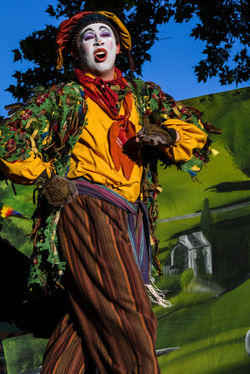 The Clown in The Greenshows