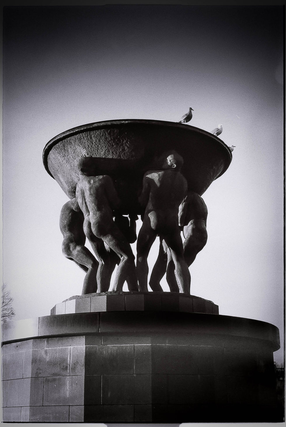 Vigeland -3
