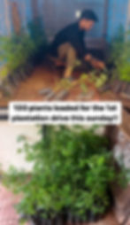 Eco friendly initiative at The Funky Monkey Hostel