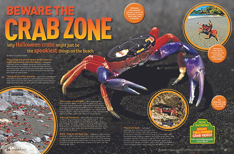 MAG SPREADS FILES 6.jpg