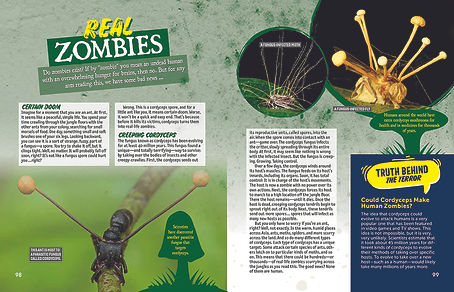 Terrifying True Tales_routing pages 56.jpg