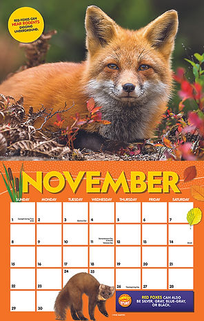 CALENDAR FILE14.jpg